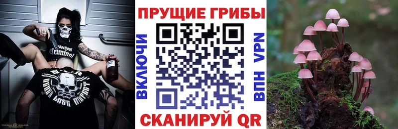 Псилоцибиновые грибы мухоморы Пущино